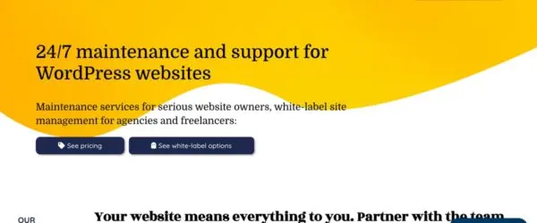 WP Buffs homepage offering 24/7 WordPress maintenance and support