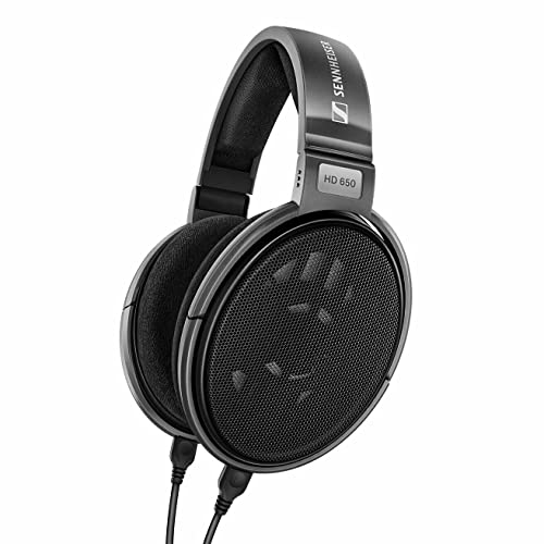 Sennheiser Consumer Audio HD 650 - Audiophile Hi-Res Open Back Dynamic Headphone Titan