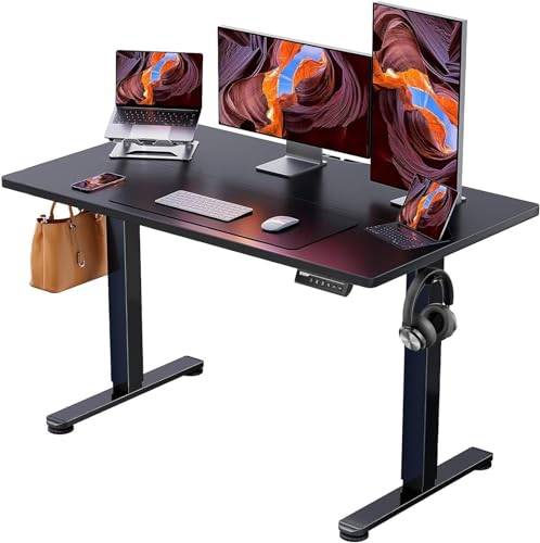 ErGear Height Adjustable Electric Standing Desk, 48 x 24 Inches Sit Stand up Desk, Memory Computer Home Office Desk...